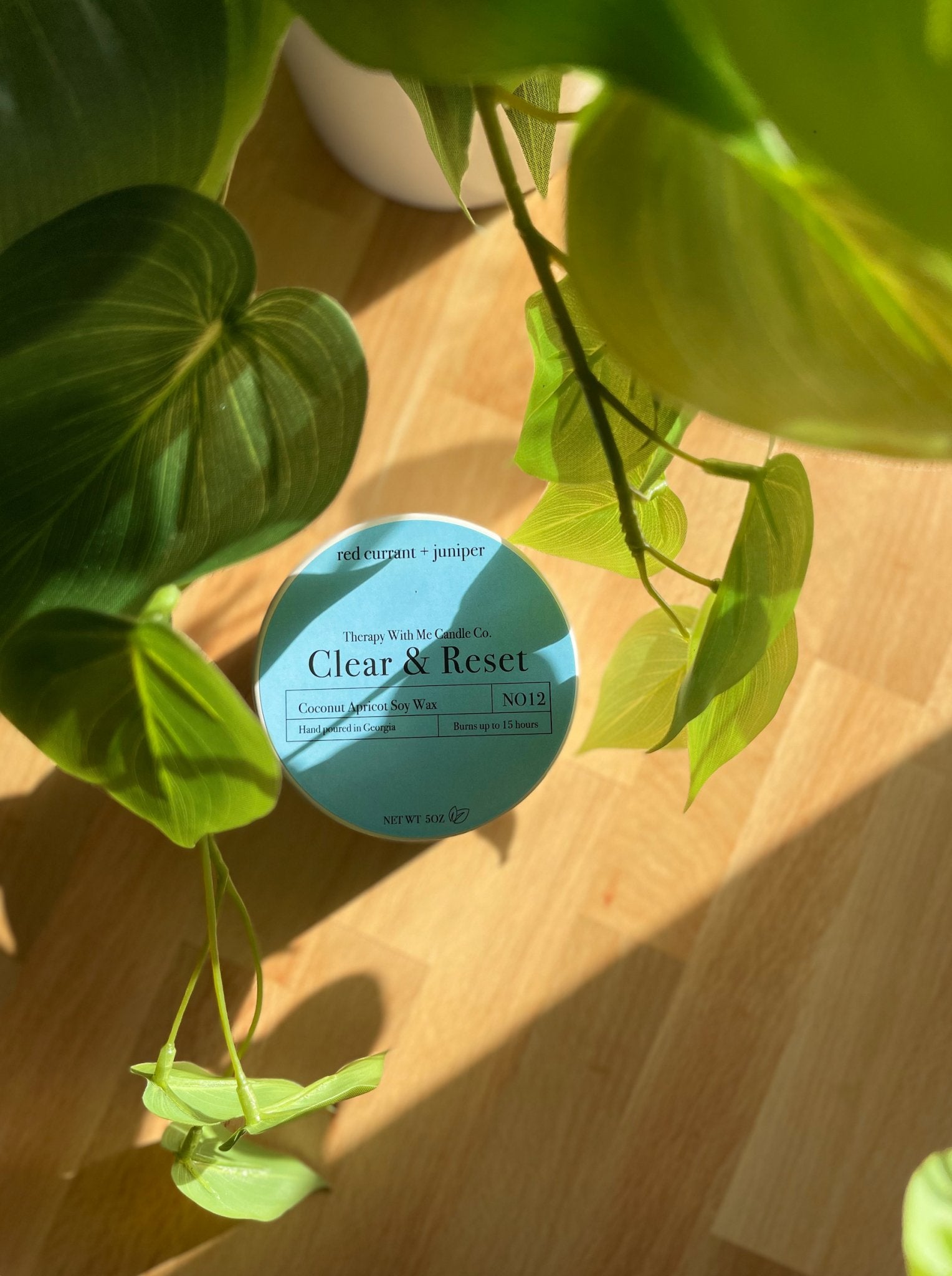 Red Currant + Juniper Scented Candle - Medium 5 oz