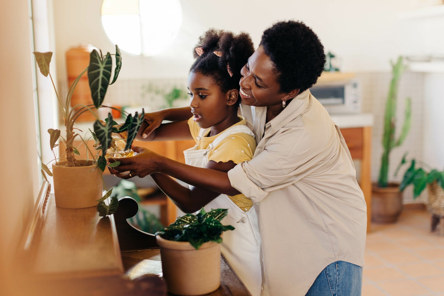 Discover T&T Plants and Things: Lawrenceville’s Premier Indoor Plant Boutique